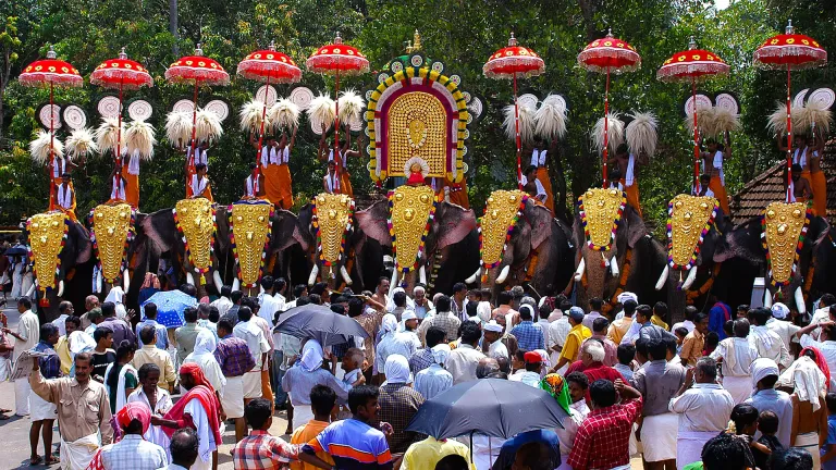 Palakkad temple festival