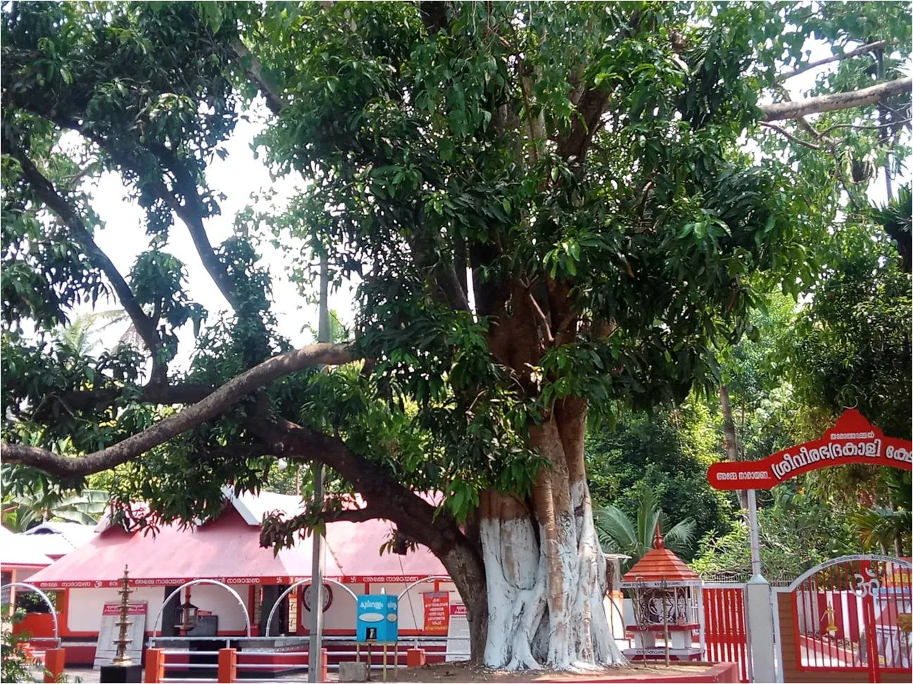 Thuruthummal Sree Veerabhadrakali Temple entrance Kerala traditional architecture