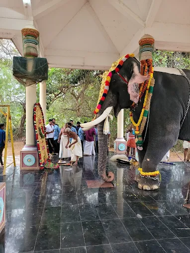 Dasavatara Charthu and Thirunal Mahotsavam Sri Vaikuntapuram Mahavishnu Temple Bhoothakulam Kollam Festival