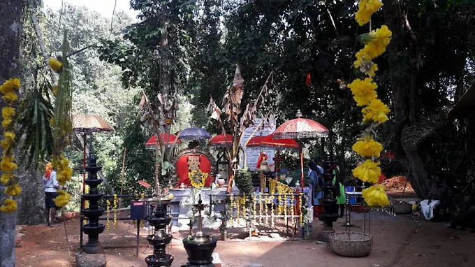 Devotees participating in Aditya Pongala at Sree Kallely Oorali Appooppan Kavu