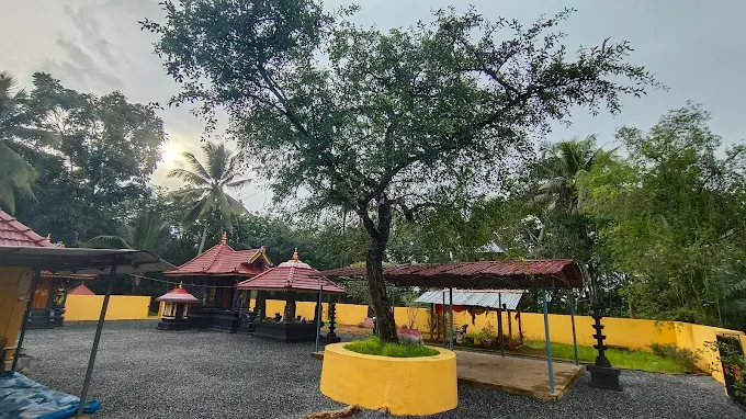Devotees participating in Makayira mahotsavam at Manneera Thalamanam Sree Mahadevar Temple