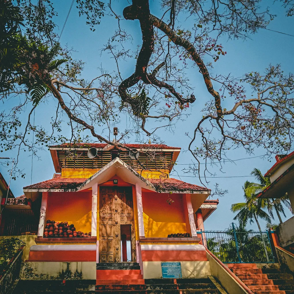Devotees participating in Aditya Pongala at Kottangal Sree Mahabhadrakali Temple
