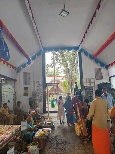 Aryasala Devi Temple Kerala traditional architecture