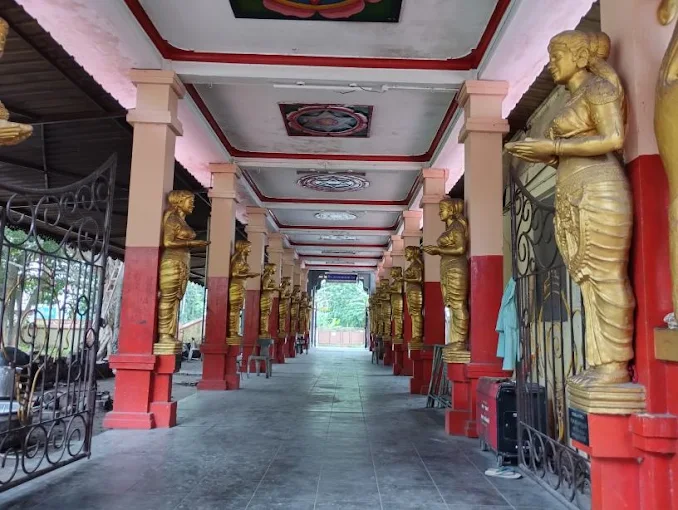 Major Vellayani Devi Temple Thiruvananthapuram festival scene
