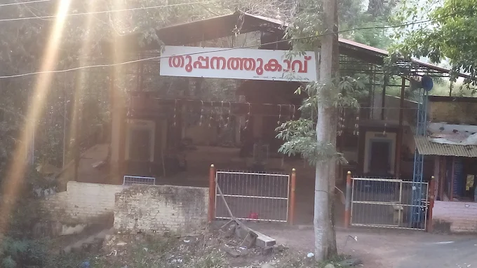 Thuppanathu Kavu Shri Rajarajeshwari Devi Temple Thiruvananthapuram festival scene